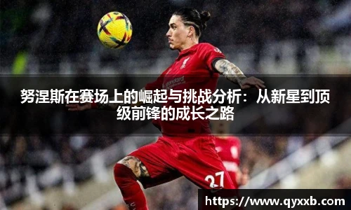 努涅斯在赛场上的崛起与挑战分析:从新星到顶级前锋的成长之路